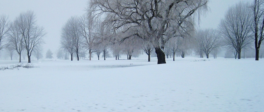 Foggy morning with fresh snow on the ground.