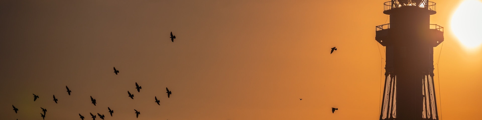 A lighthouse silhouette against a sunset sky with birds flying around.