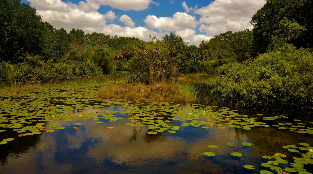 500px Photo ID: 73972291 - long key natural center in Davie fl.