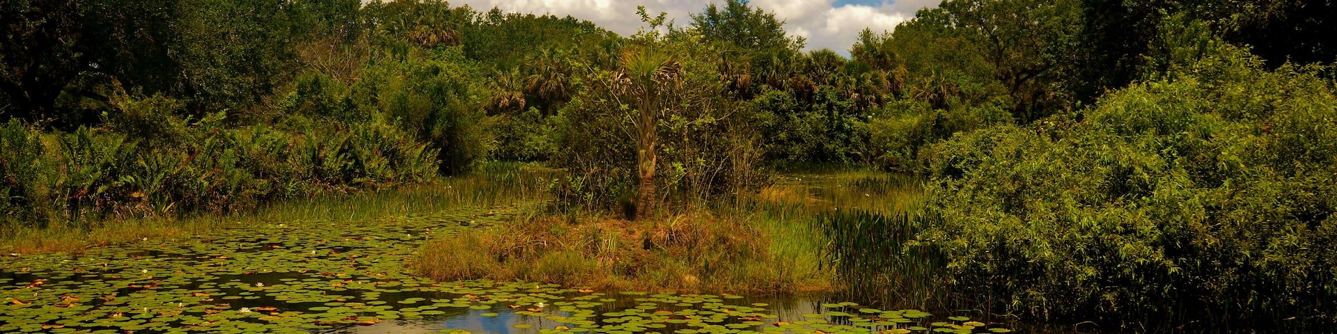 500px Photo ID: 73972291 - long key natural center in Davie fl.
