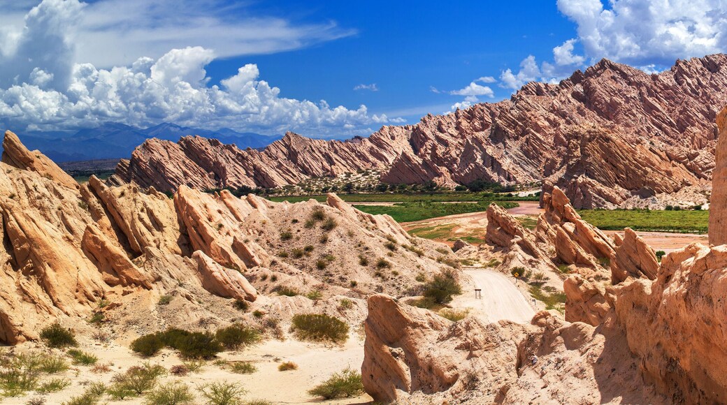 Canyon Corte, Quebrada de las Flechas, Salta, Argentina