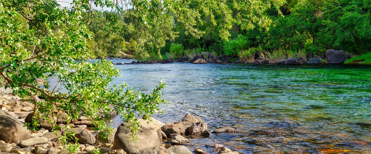A river with clear water, surrounded by rocks and greenery.