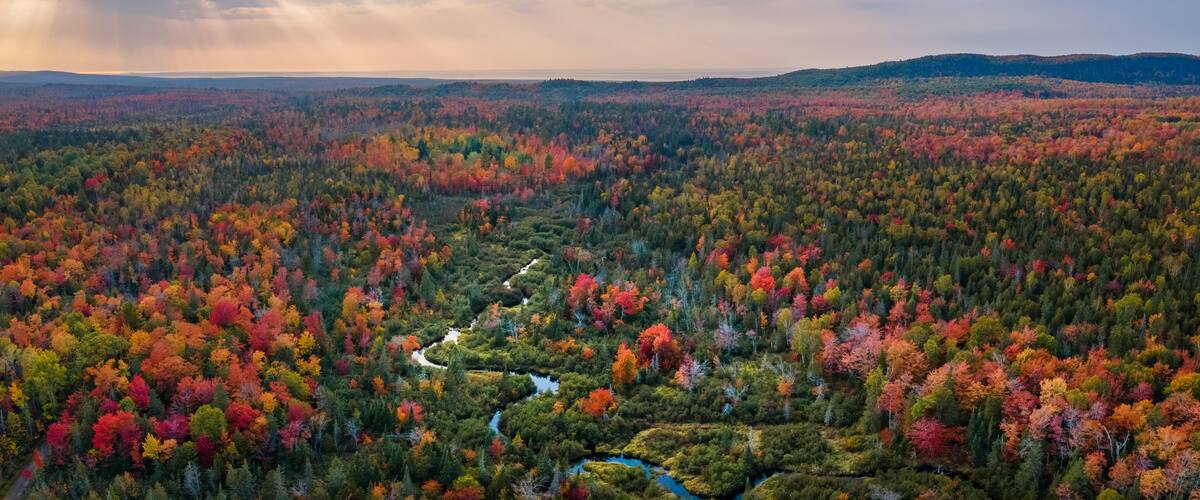 A vast forest with a river winding through it, surrounded by hills.
