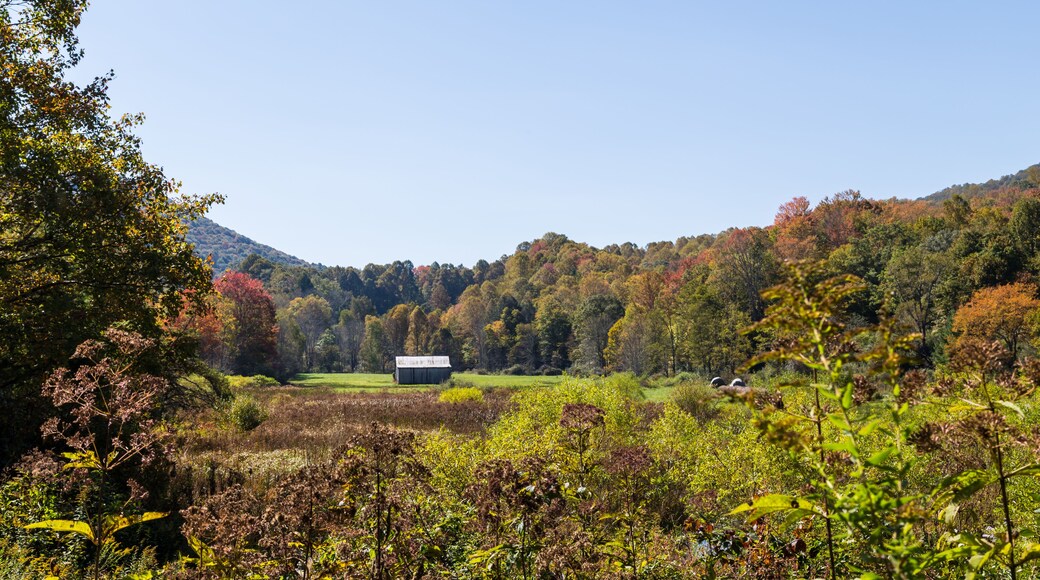 Comté de la ville de Bristol