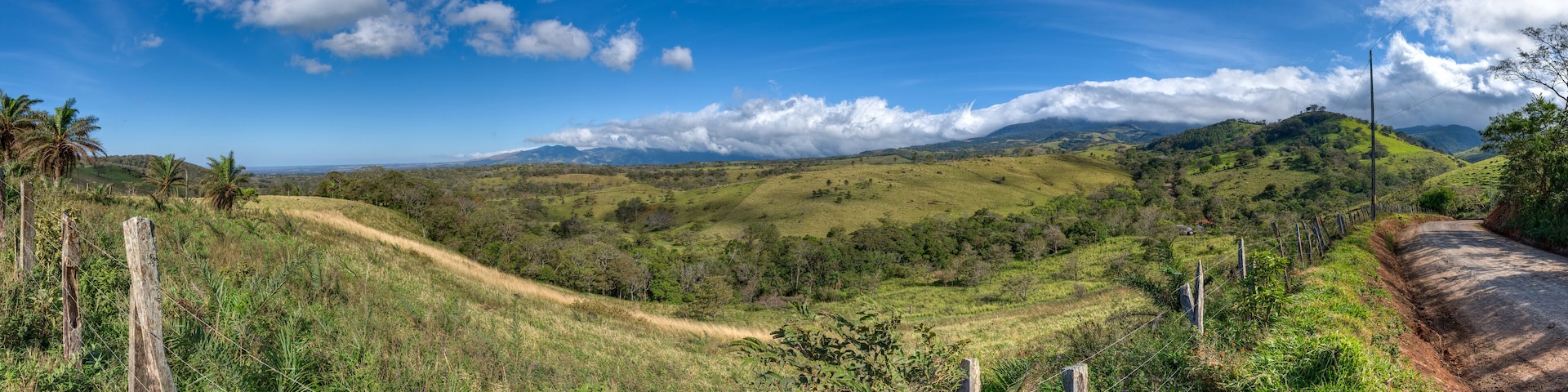 Panoramic view of a typical Costa rican landscape, field, farmland andcoffee culture, Alajuela, Costa Rica