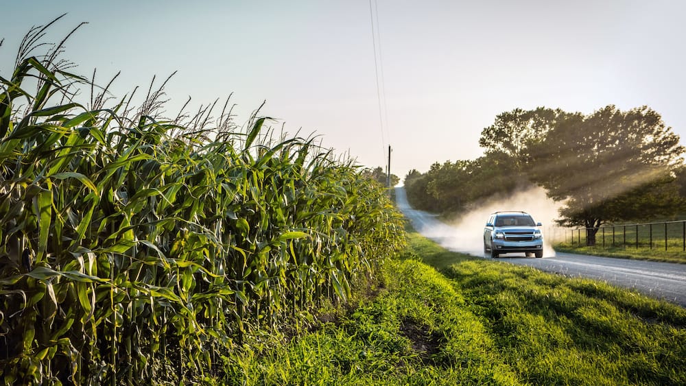 Corn Growing as truck drives by with dust