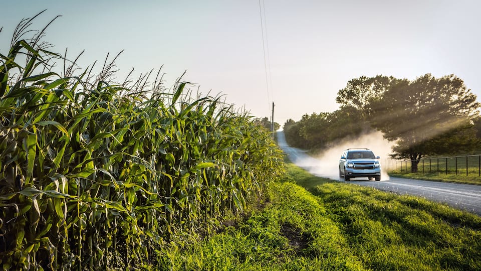 A car driving on a road with a cornfield on one side and trees on the other.