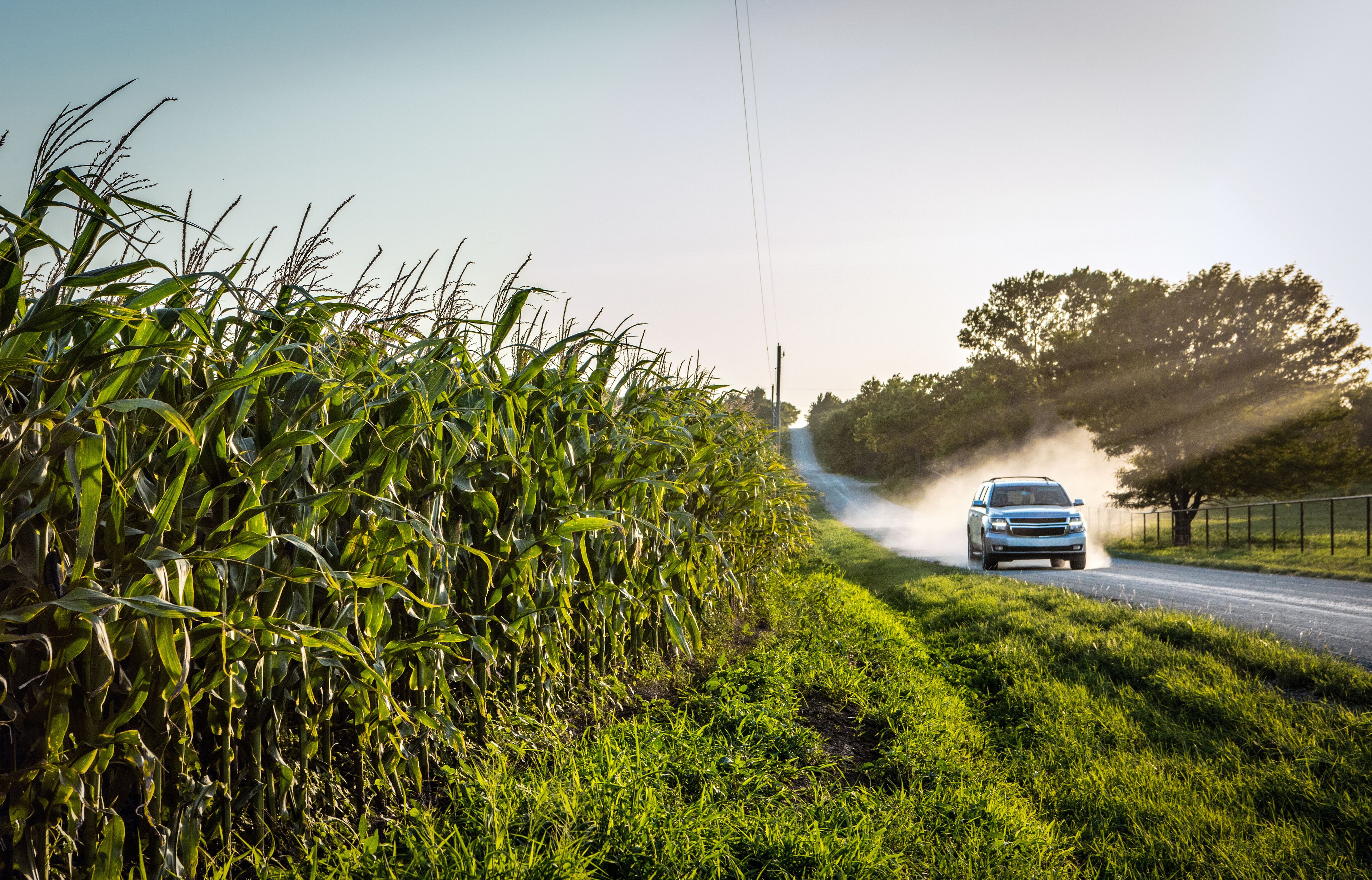 A car driving on a road with a cornfield on one side and trees on the other.