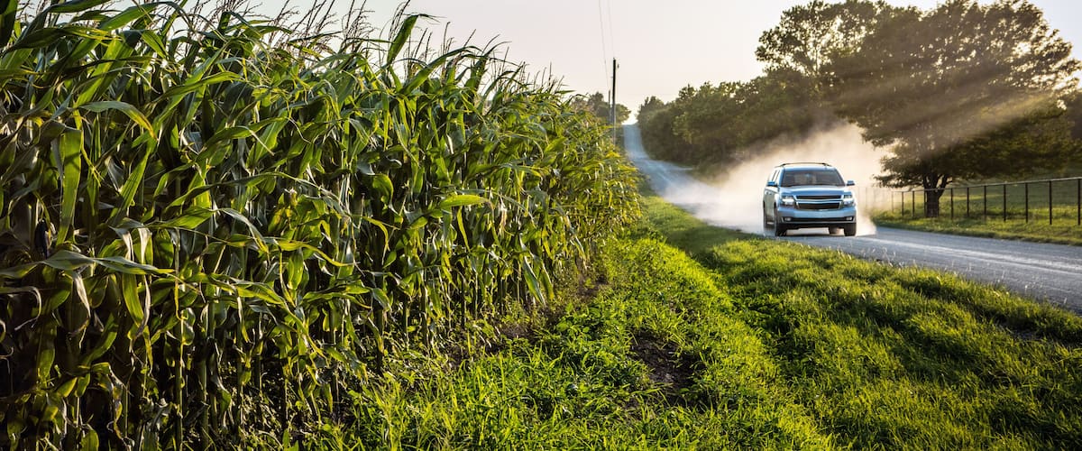A car driving on a road with a cornfield on one side and trees on the other.