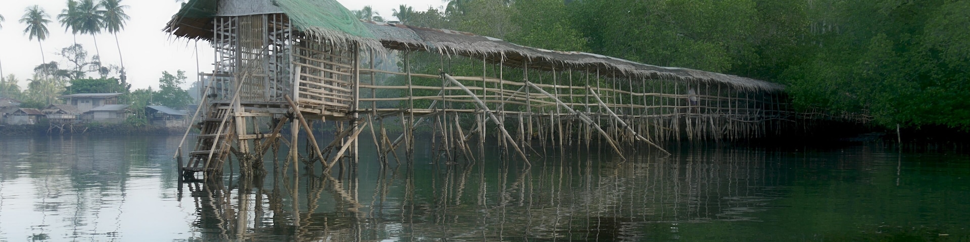 A bamboo house on stilts over water, surrounded by greenery and palm trees.