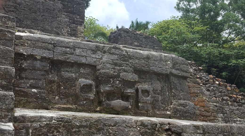 A Mayan Face carved on the stone