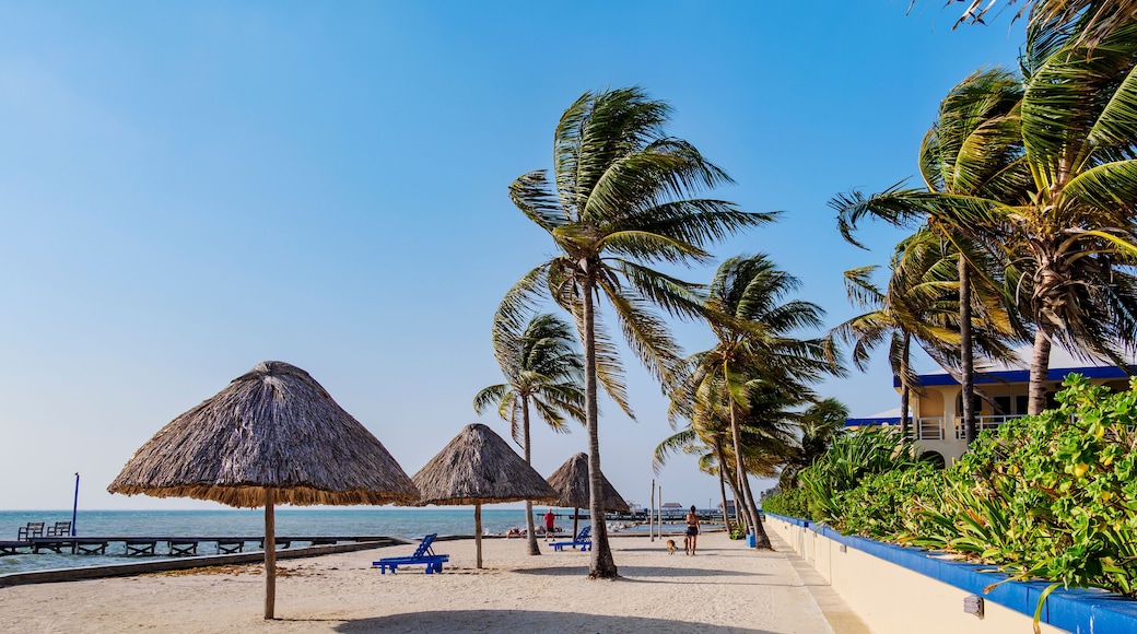 Waterfront of San Pedro Town, Ambergris Caye, Belize District, Belize