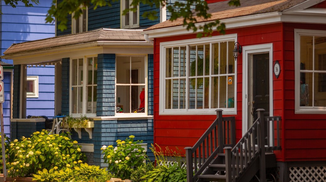 Dartmouth showing a house