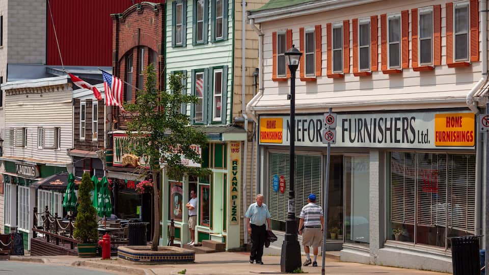 A street with various shops, including a furniture store and a pizza place.