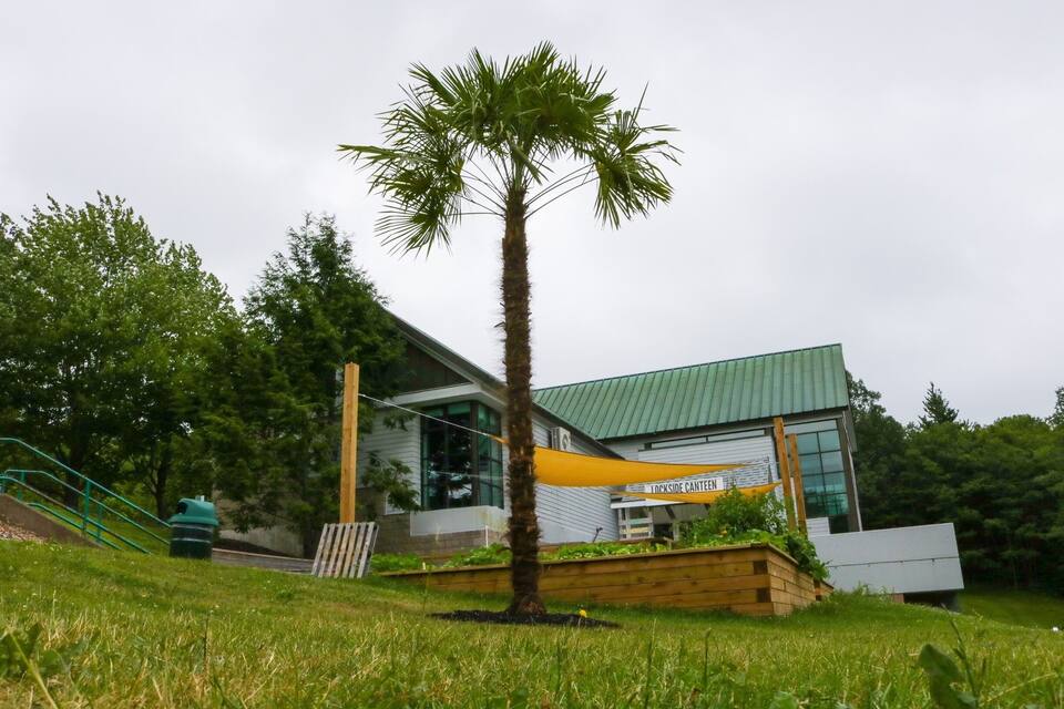 A modern building with a green roof, a palm tree, and a yellow canopy labeled "Lockside Center".