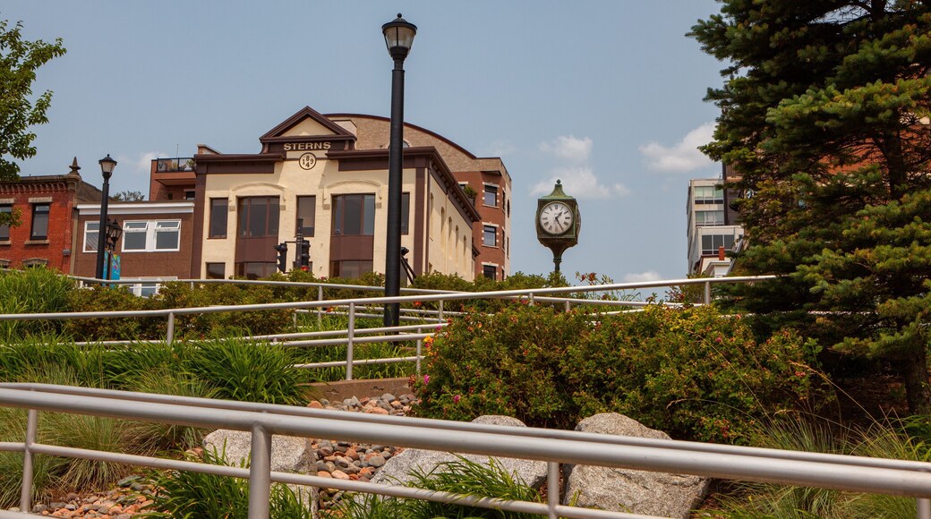 Dartmouth which includes heritage elements