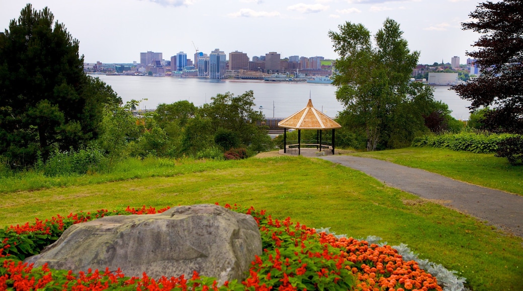 Dartmouth montrant un jardin