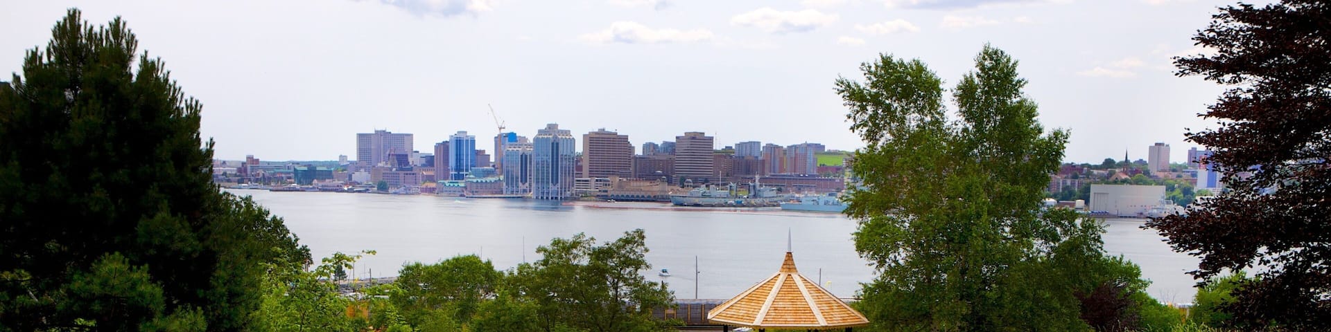 Dartmouth featuring a garden