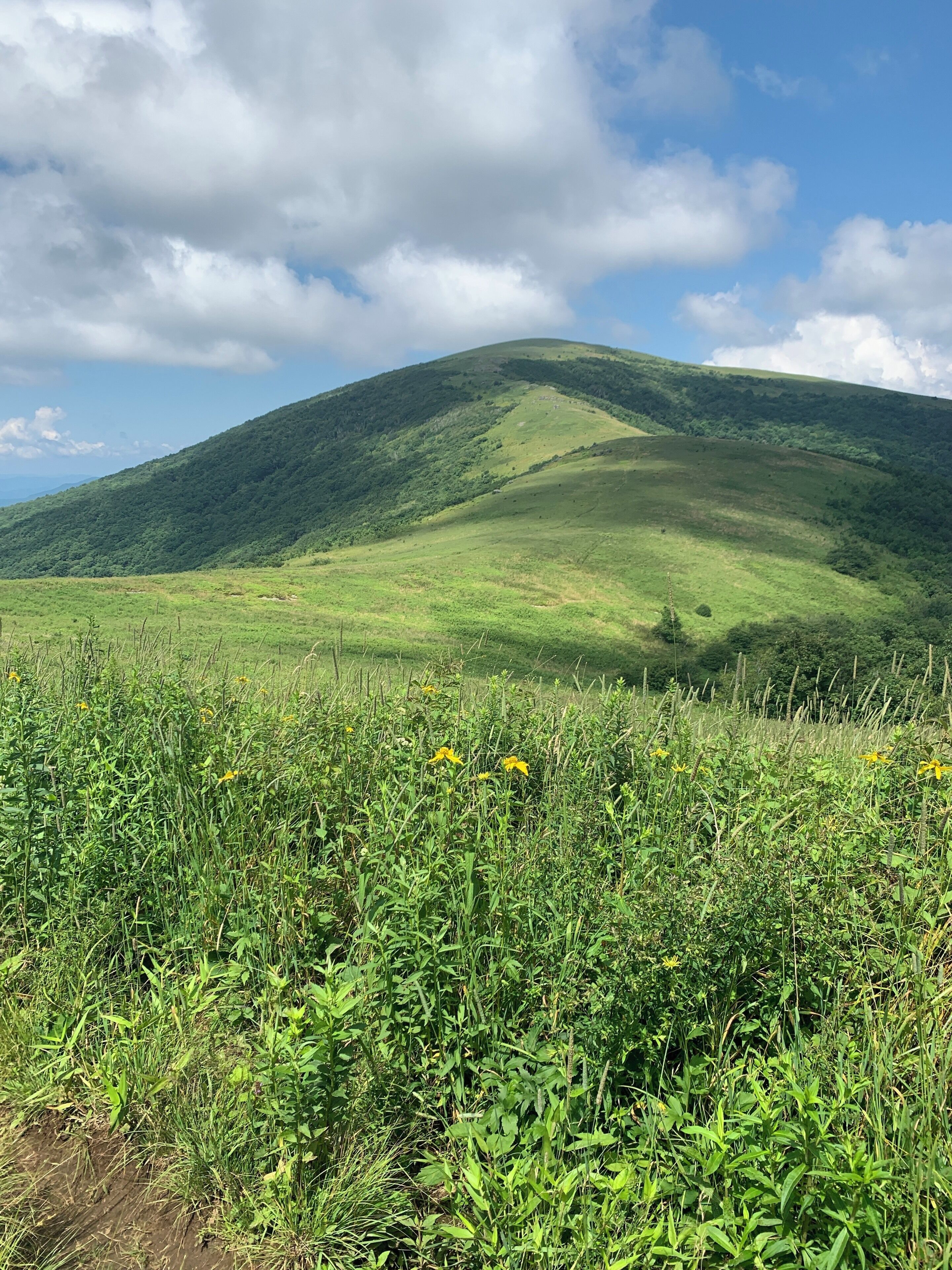 Hiking Carver’s gap to 19E