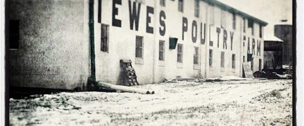 Some small town love for Aurora Indiana. Down home turkey pick up! Light snow dusting makes for beautiful scenery. #thanksgiving #turkey #downhome