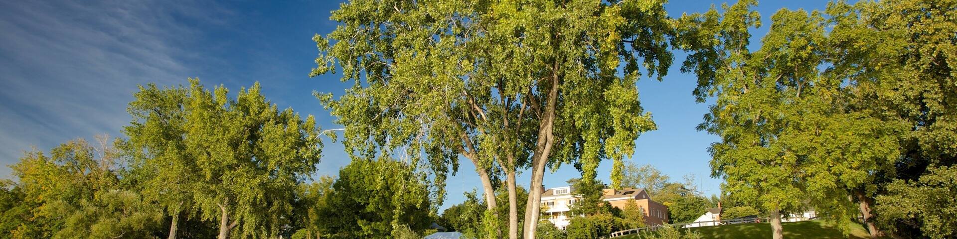 Aurora which includes a lake or waterhole and a garden