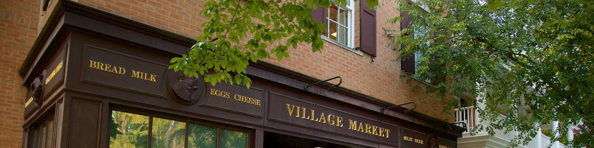 Aurora featuring a city