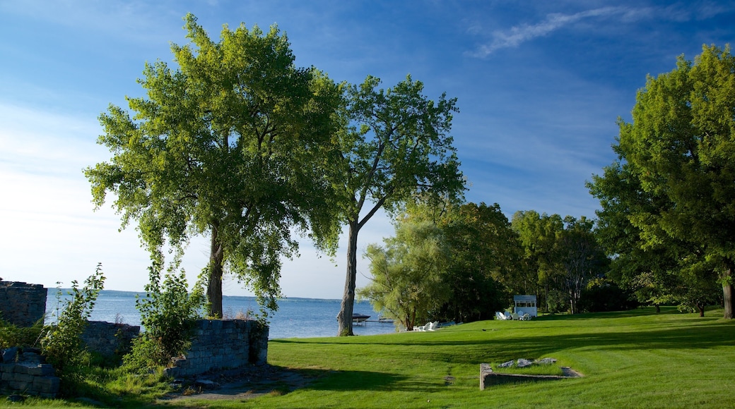 Aurora showing a garden and a lake or waterhole
