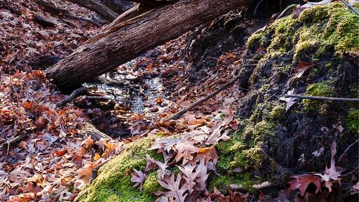 This is a very nice place to hike.
