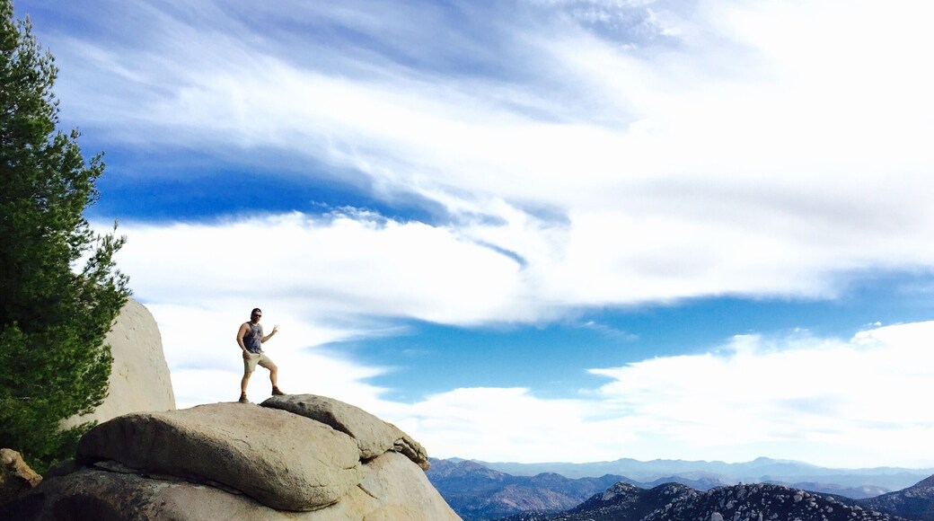 Hasta la vista baby! Mount Woodson, San Diego County