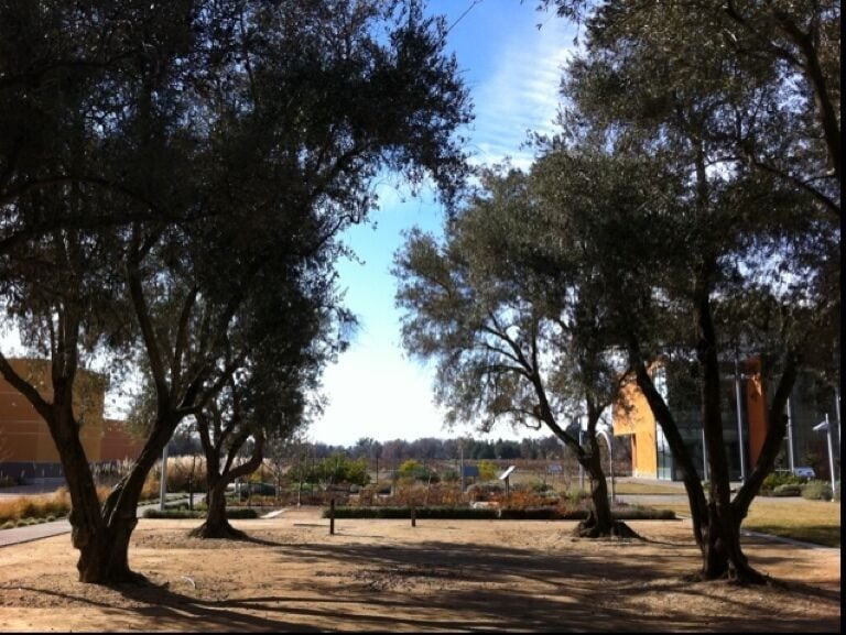 goodlifegarden.ucdavis.edu