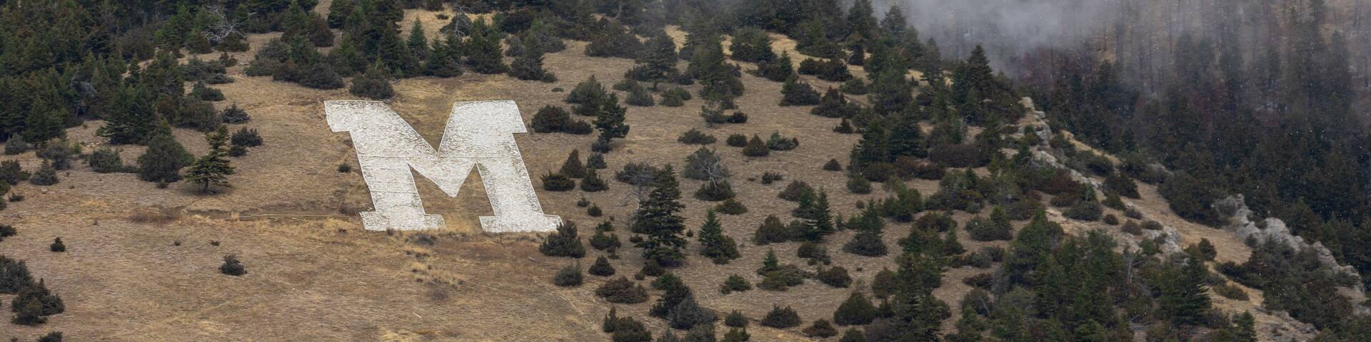 A letter 'M' on a hillside with scattered trees and a forest in the background.