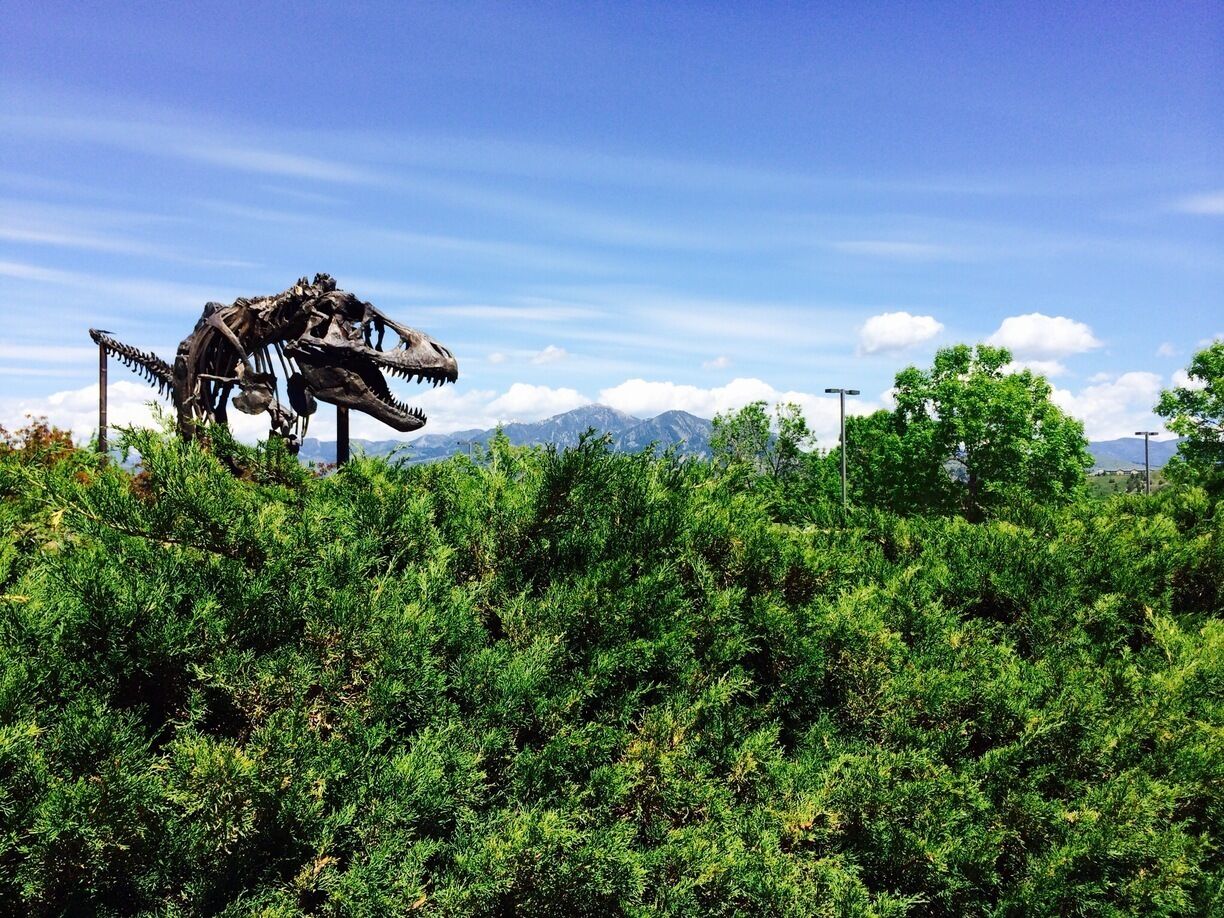 One of the largest collections of dinosaur "discoveries" in the world, Museum of the Rockies also has a living farm, a planetarium and a gecko exhibit.