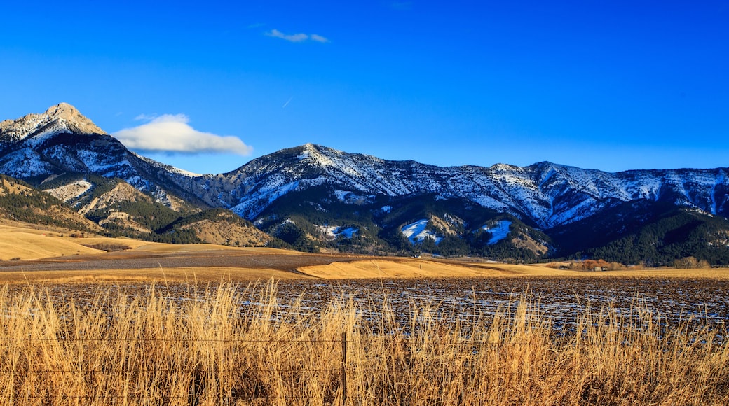 Eine Berglandschaft mit schneebedeckten Gipfeln, einem Feld aus trockenem Gras und einem strahlend blauen Himmel.