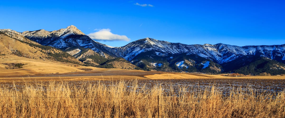 Un paisaje montañoso con picos nevados, un campo de pasto seco y un cielo azul despejado.