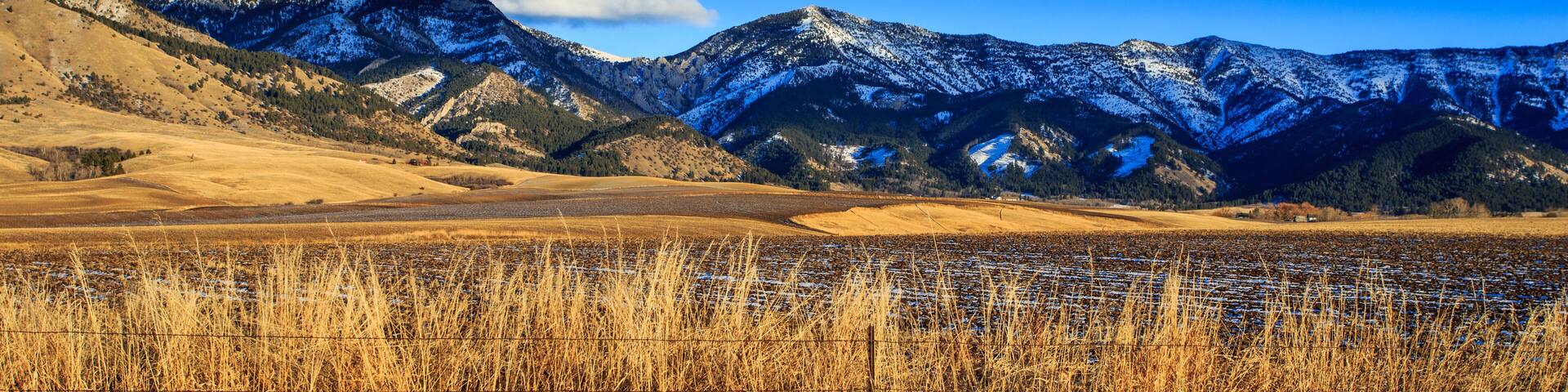 A mountainous landscape with snow-capped peaks, a field of dry grass, and a clear blue sky.