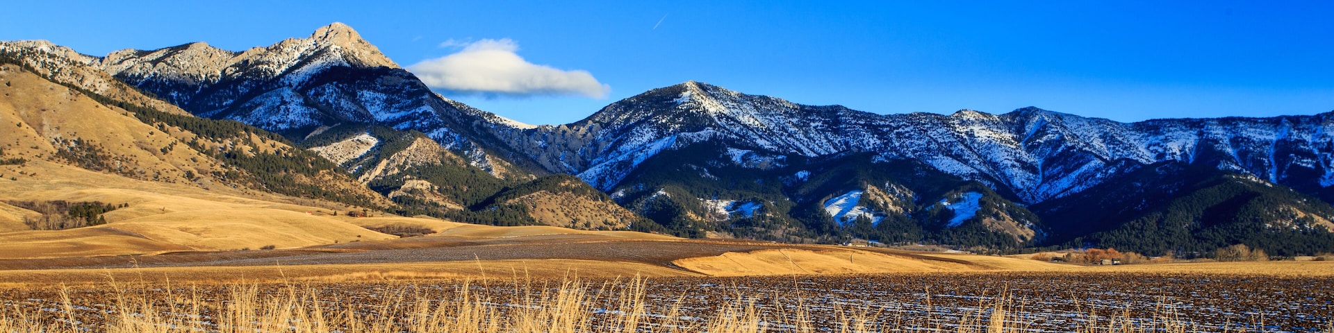 Un paisaje montañoso con picos nevados, un campo de pasto seco y un cielo azul despejado.