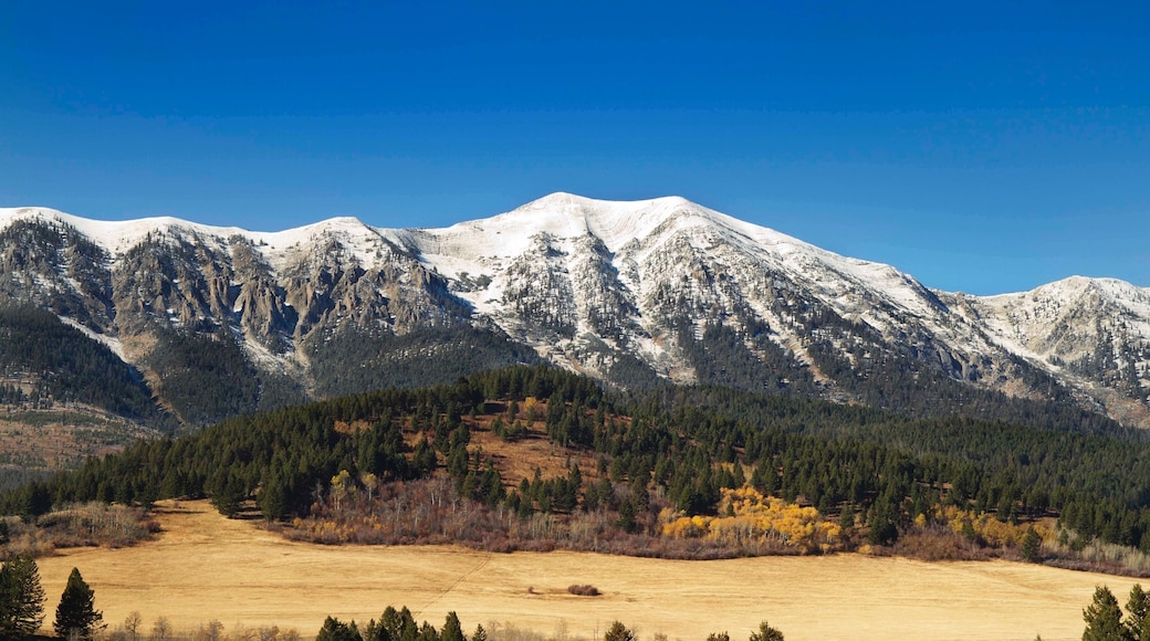 Bozeman featuring mountains, forest scenes and tranquil scenes