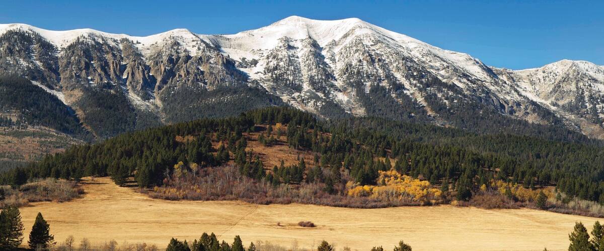 Bozeman featuring mountains, forest scenes and tranquil scenes