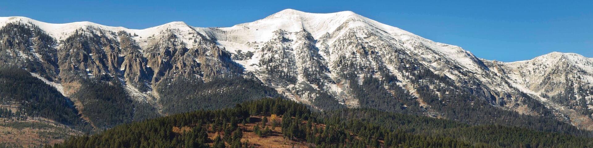 Bozeman featuring mountains, forest scenes and tranquil scenes