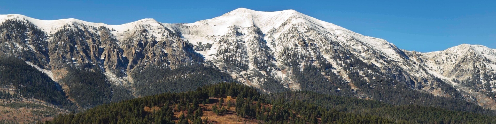 Bozeman featuring mountains, forest scenes and tranquil scenes