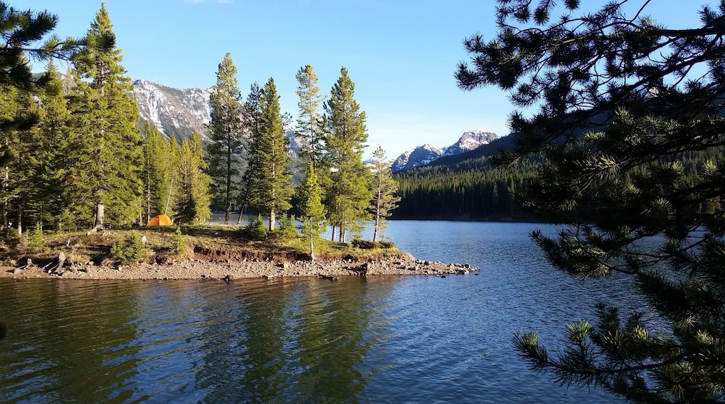 Our campsite. Hyalite Canyon Lake đČđ