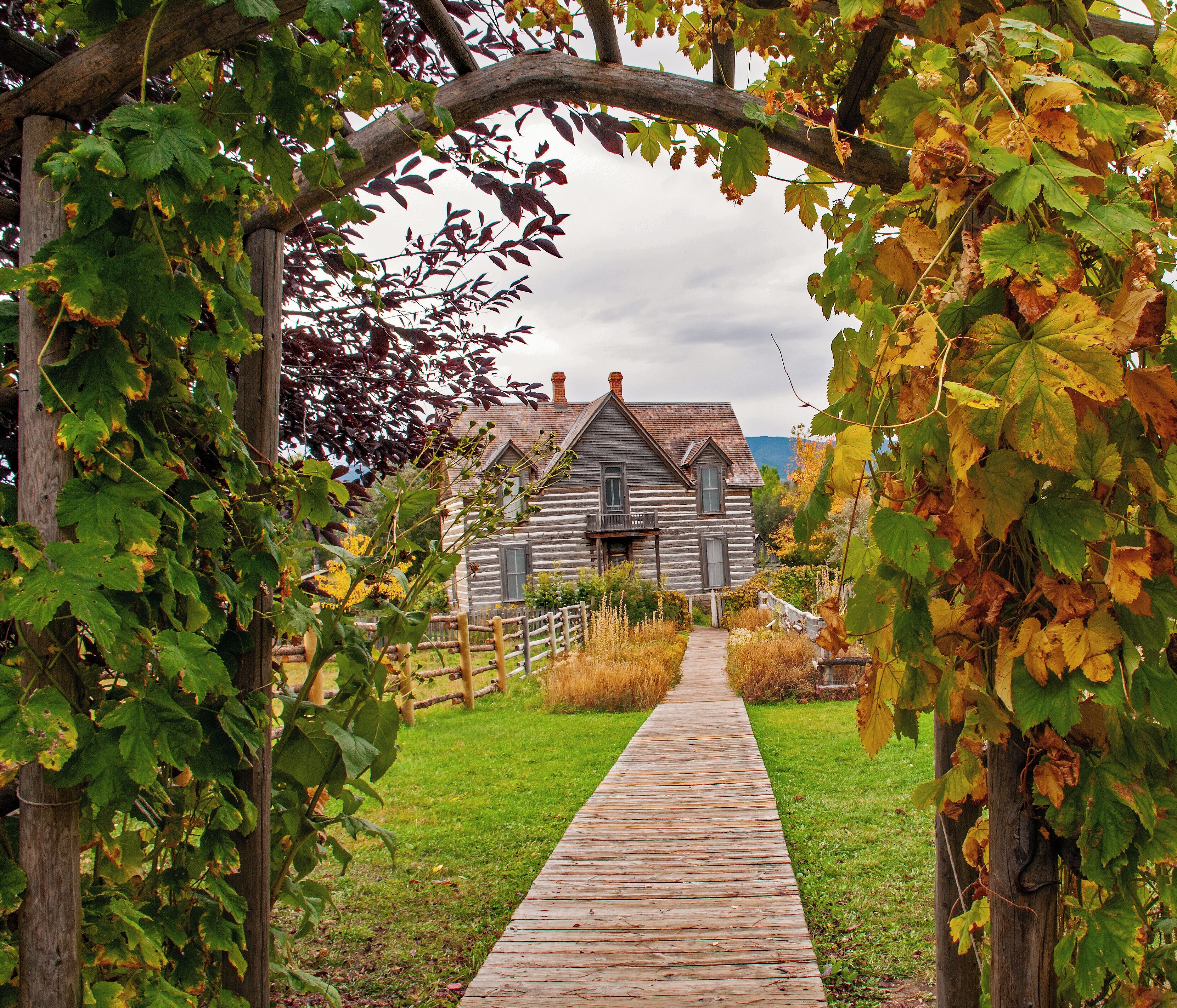 Just off the parking lot of the Museum of the Rockies in Bozeman, MT is a historic farm site.  The view of the house through the arbor is very quaint.
#homestead
#farmhouse
#museum_of_the_rockies