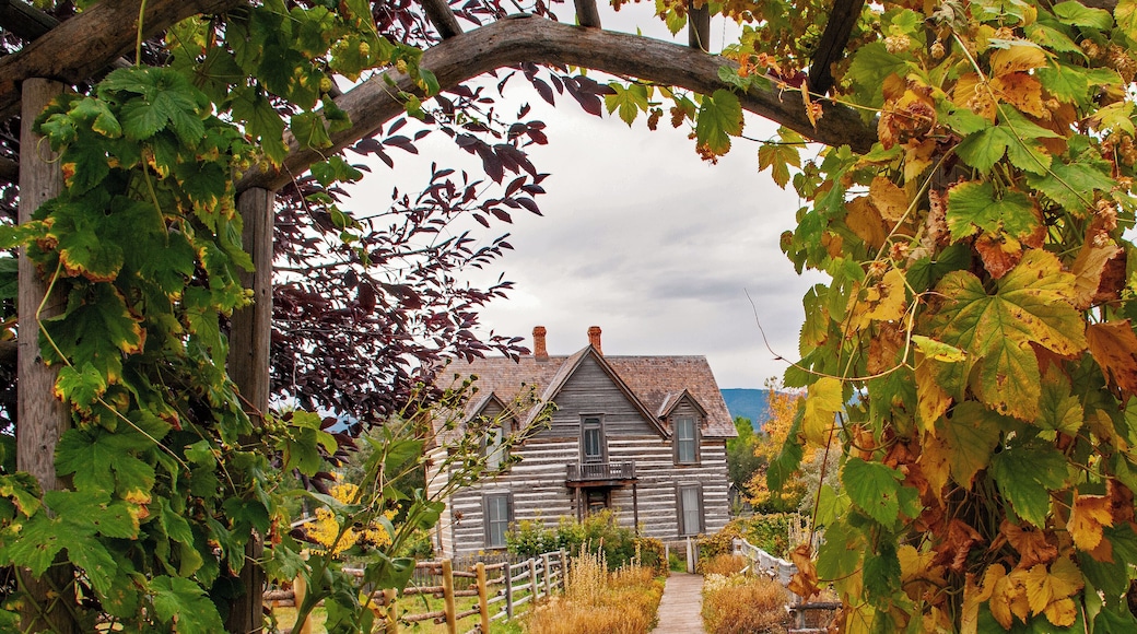 Just off the parking lot of the Museum of the Rockies in Bozeman, MT is a historic farm site. The view of the house through the arbor is very quaint.
#homestead
#farmhouse
#museum_of_the_rockies