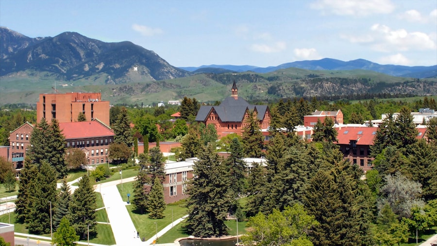 Bozeman