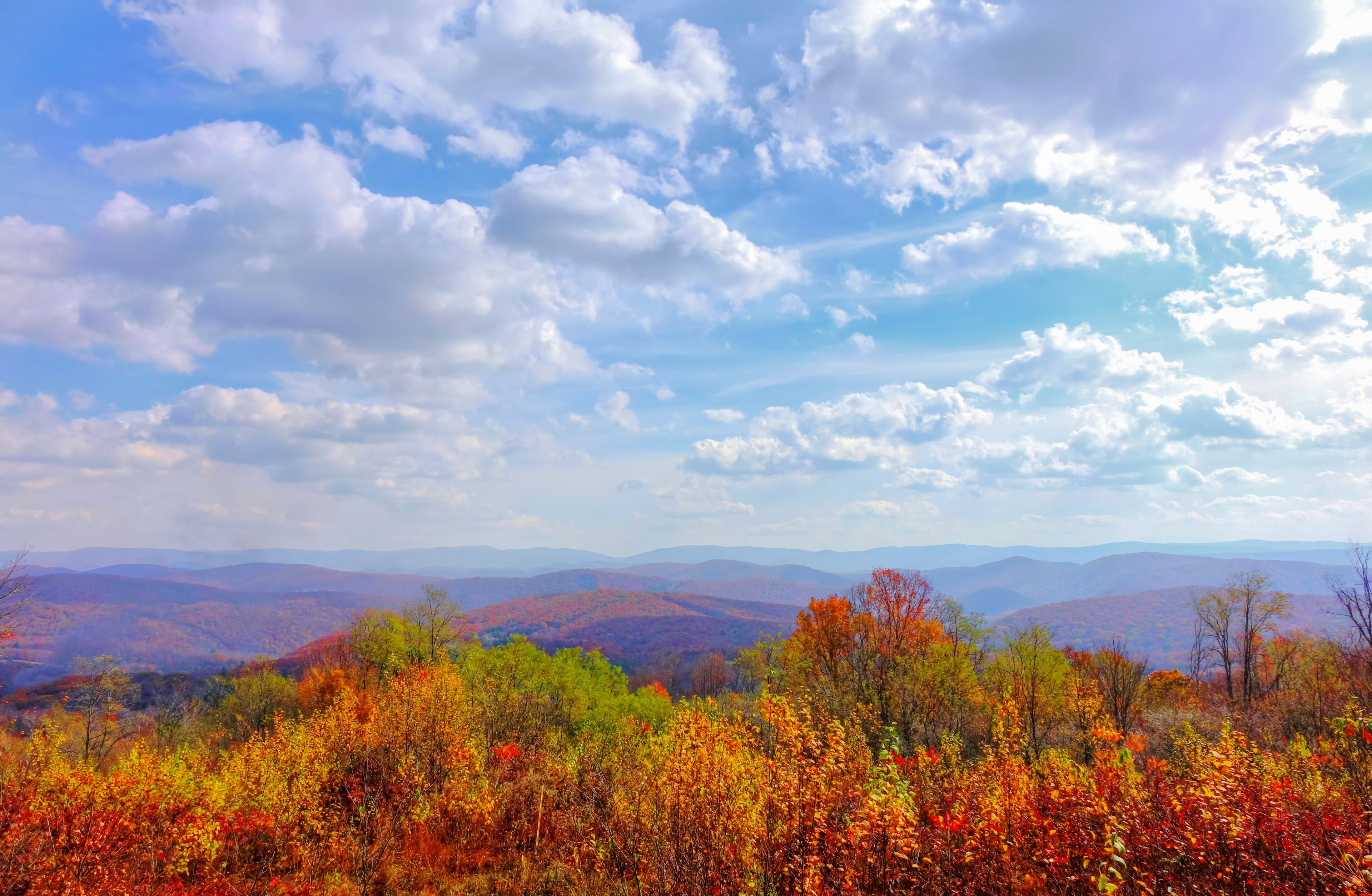 A vast amazing view of the mountains and hills of West Virginia showing the beautiful fall color palette and blue cloudy sky. Shot near Cass, WV.