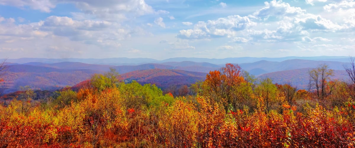 A vast amazing view of the mountains and hills of West Virginia showing the beautiful fall color palette and blue cloudy sky. Shot near Cass, WV.