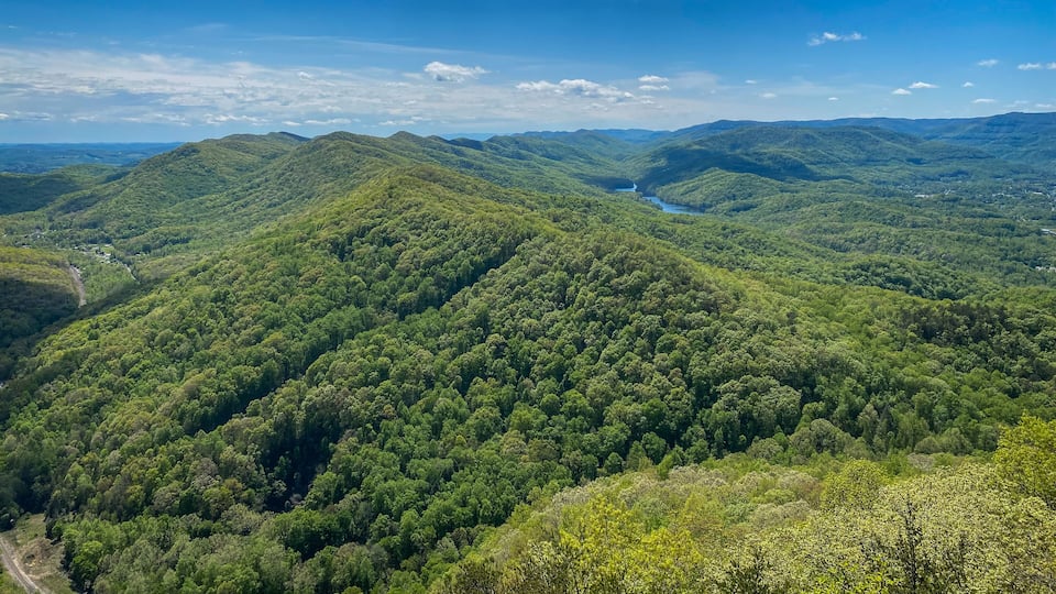 A mountainous landscape with dense green forests and a river.