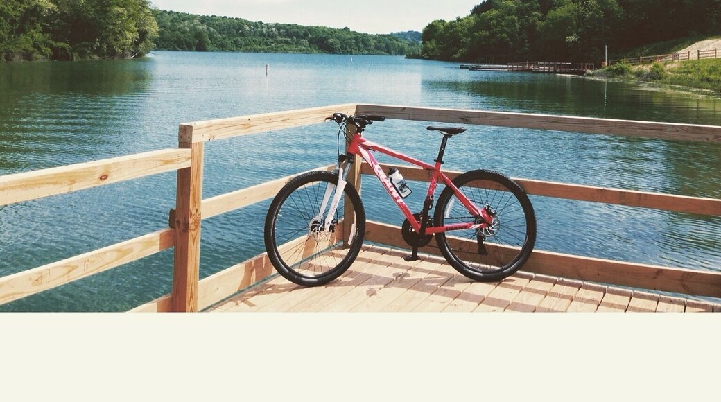 Off the newly built fishing pier at Cross Creek County Park.