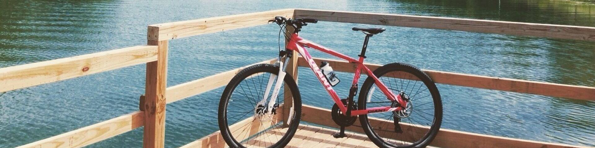 Off the newly built fishing pier at Cross Creek County Park.