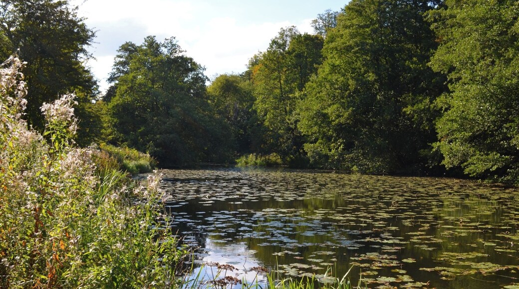 Taken at Calke Abbey in Derbyshire, UK.
#Midlands #NationalForest #CalkeAbbey #Reservoir #Lake #Water #Outdoors #Nature #Walking #Hiking